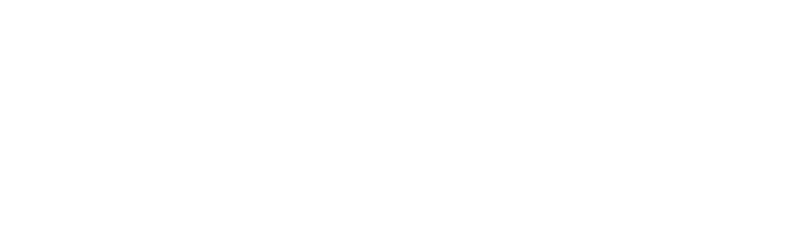 Care Homes Domestic Logo